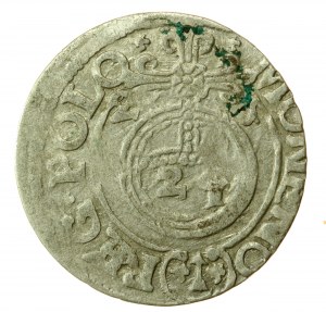 Sigismondo III Vasa, Półtorak 1621, Bydgoszcz (715)