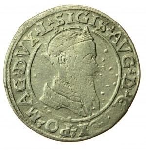 Sigismondo II Augusto, quadrangolo 1568, Vilnius, L/LITVA (716)