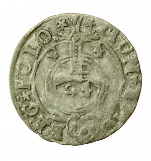 Žigmund III Vasa, Półtorak 1624, Bydgoszcz (720)