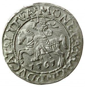 Žigmund II August, polgroš 1561, Vilnius - LI/LITVA (721)