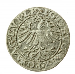 Žigmund II August, polgroš 1563, Vilnius - LI/LITV (723)