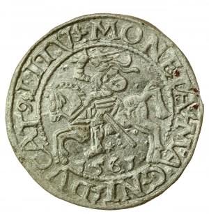 Žigmund II August, polgroš 1561, Vilnius - L/LITV (724)