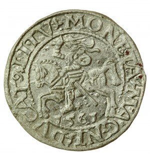 Sigismund II Augustus, Half-penny 1561, Vilnius - L/LITV (724)