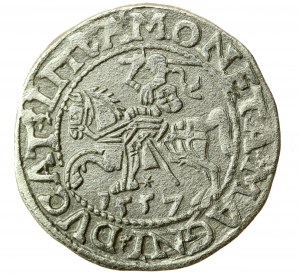 Žigmund II August, polgroš 1557, Vilnius, L / LITVA (725)