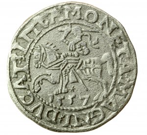 Sigismund II. Augustus, Halbpfennig 1557, Wilna, L / LITVA (725)