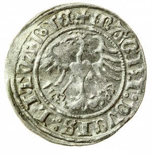 Sigismondo I il Vecchio, mezzo penny 1513, Vilnius (726)