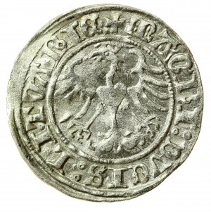 Sigismund I. der Alte, Halber Pfennig 1513, Vilnius (726)