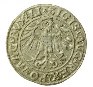 Sigismond II Auguste, demi-penny 1548, Vilnius - LI/LITVA (727)