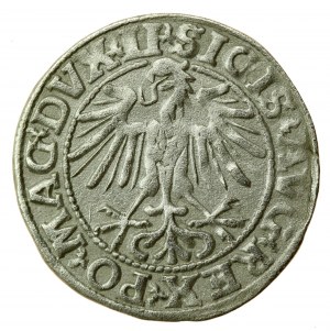 Sigismondo II Augusto, mezzo penny 1549, Vilnius - LI/LITVA (728)