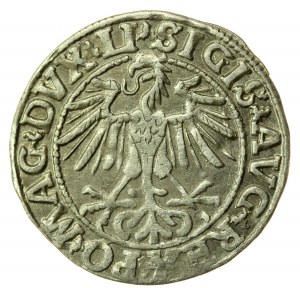 Zygmunt II August, Półgrosz 1550, Wilno, LI / LITVA (729)