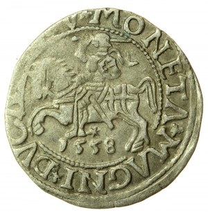 Zikmund II Augustus, půlgroš 1558, Vilnius - LI/LITV. Vzácnější (730)