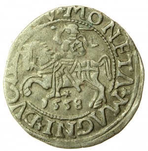 Sigismund II Augustus, Half-penny 1558, Vilnius - LI/LITV (730)