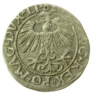 Zikmund II Augustus, půlgroš 1558, Vilnius - LI/LITV. Vzácnější (730)