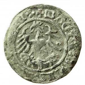 Zikmund I. Starý, půlpenny 1516, Vilnius - zkrácené datum (731)