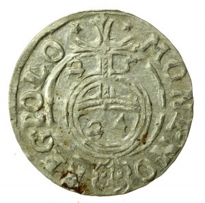 Sigismond III Vasa, Półtorak 1625, Bydgoszcz (732)