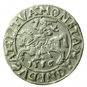 Sigismondo II Augusto, mezzo penny 1556 Vilnius, LI/LITVA (735)