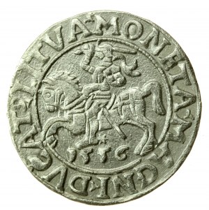 Sigismund II Augustus, Half-penny 1556 Vilnius, LI/LITVA (735)