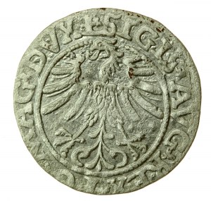 Žigmund II August, polgroš 1563, Vilnius - L/LITV (736)