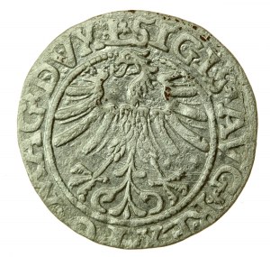 Sigismund II. Augustus, Halbpfennig 1563, Wilna - L/LITV (736)