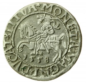 Zikmund II Augustus, půlpenny 1558, Vilnius - LI/LITVA (737)