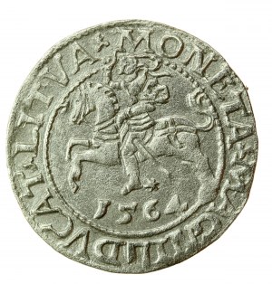 Zikmund II August, půlgroše 1564, Vilnius - L/LITVA (738)