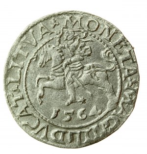 Sigismund II Augustus, Half-penny 1564, Vilnius - L/LITVA (738)