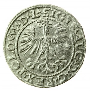 Sigismond II Auguste, demi-penny 1564, Vilnius - L/LITVA (738)