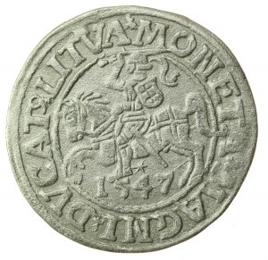 Žigmund II August, polgroš 1547, Vilnius - LI/LITVA (739)