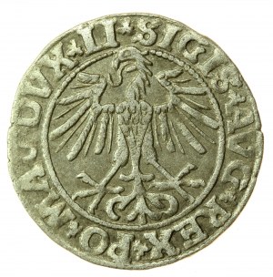 Sigismond II Auguste, demi-penny 1550, Vilnius, LI/LITVA (740)