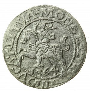 Sigismondo II Augusto, mezzo penny 1564, Vilnius - L/LITVA (742)