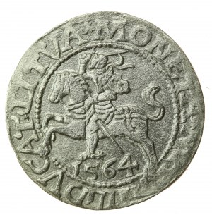 Sigismund II Augustus, Half-penny 1564, Vilnius - L/LITVA (742)