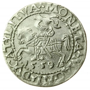 Sigismond II Auguste, demi-penny 1559, Vilnius - LI/LITVA (743)