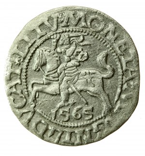 Sigismondo II Augusto, mezzo penny 1565, Vilnius - L/LITV (744)