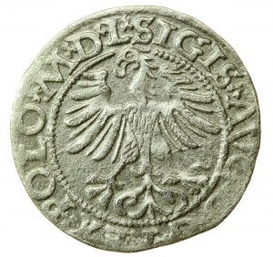 Sigismund II Augustus, Half-penny 1565, Vilnius - L/LITV (744)