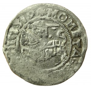 Sigismond Ier le Vieux, demi-penny 1510, Vilnius (746)
