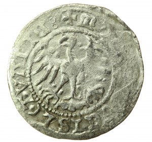 Sigismund I. der Alte, Halber Pfennig 1510, Vilnius (746)