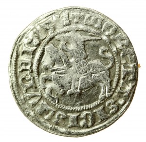 Sigismond Ier le Vieux, demi-penny 1511, Vilnius (747)