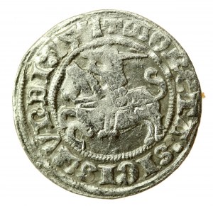 Sigismund I. der Alte, Halber Pfennig 1511, Vilnius (747)