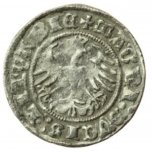 Zygmunt I Stary, Półgrosz 1511, Wilno (747)