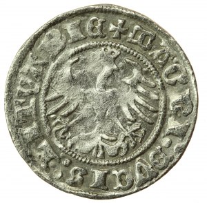 Sigismund I. der Alte, Halber Pfennig 1511, Vilnius (747)