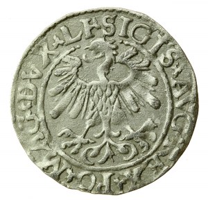 Sigismond II Auguste, demi-penny 1559, Vilnius - LI/LITVA (748)