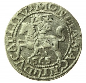 Žigmund II August, polgroš 1565, Vilnius - L/LITV (749)