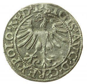 Sigismondo II Augusto, mezzo penny 1565, Vilnius - L/LITV (749)