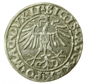 Zikmund II August, půlpenny 1551, Vilnius - LI/LITVA (750)