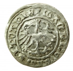 Sigismund I. der Alte, Halber Pfennig 1513, Vilnius (752)