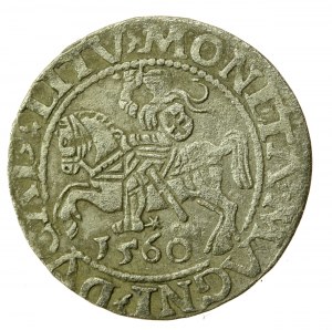 Sigismund II. Augustus, halber Pfennig 1560, Vilnius -LI/LITV (753)