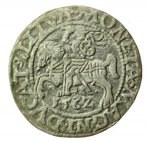 Zikmund II August, půlpenny 1562 Vilnius, L/LITVA (755)