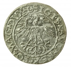 Sigismondo II Augusto, mezzo penny 1562 Vilnius, L/LITVA (755)