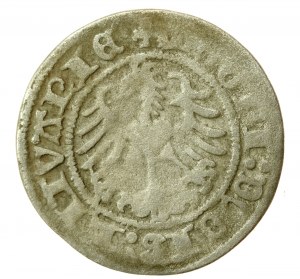 Sigismond Ier le Vieux, demi-penny 1518, Vilnius (756)