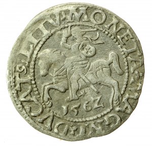 Sigismund II. Augustus, halber Pfennig 1562 Vilnius, L/LITV (758)